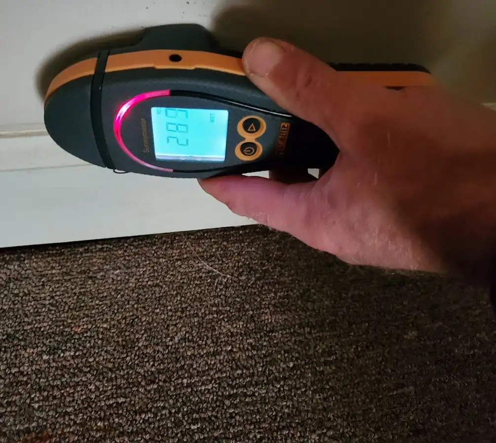 Moisture detection at baseboard during Sewage Cleanup & Sanitation in Milan